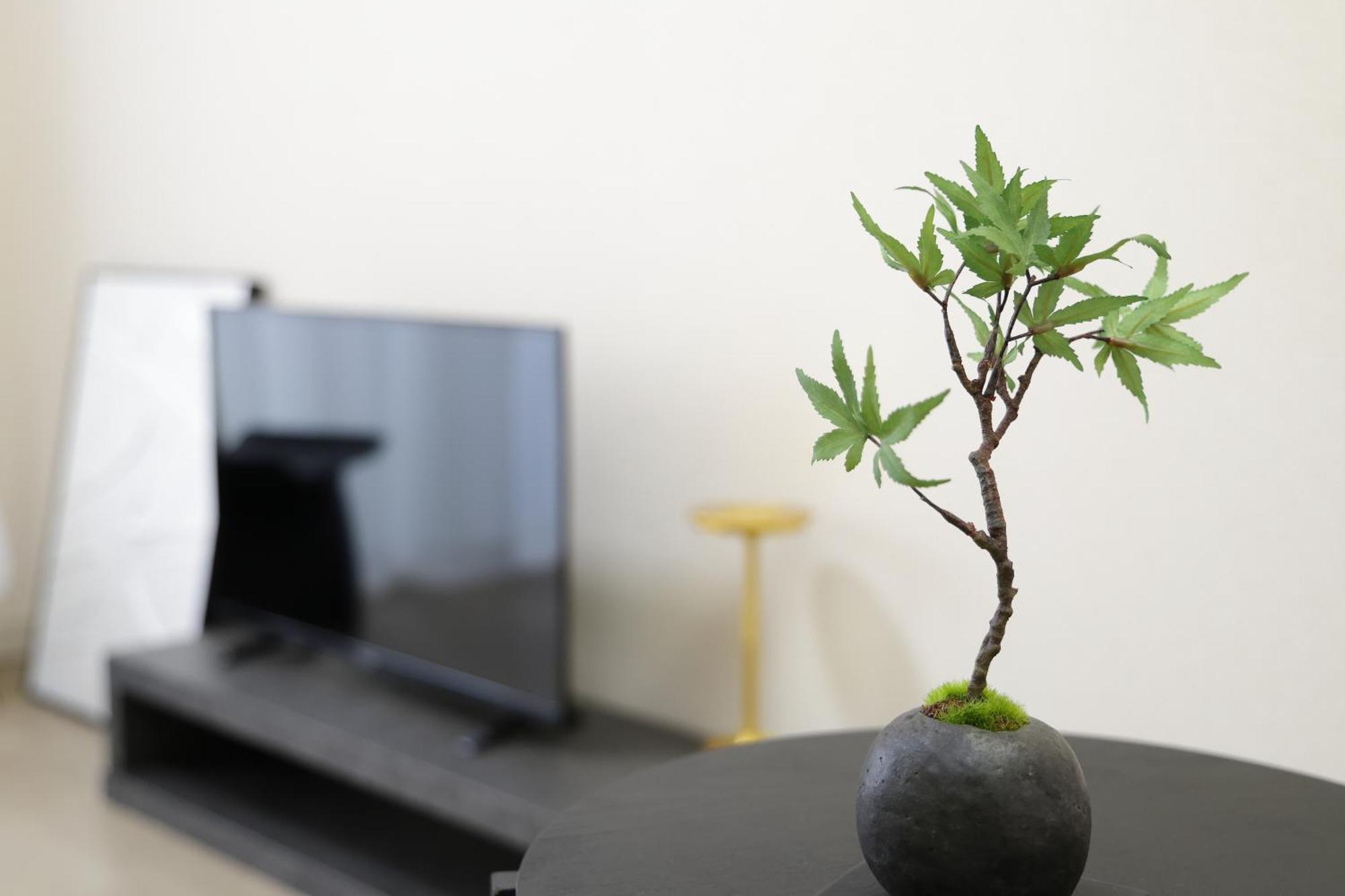 メゾンファミール成瀬 Apartment
